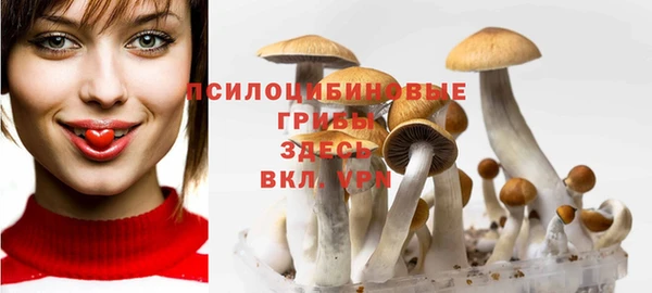 spice Богданович