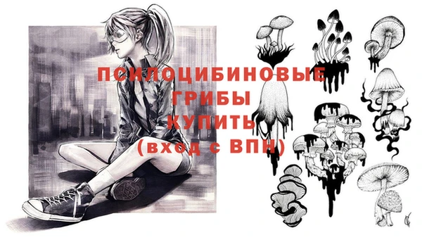 меф Белокуриха