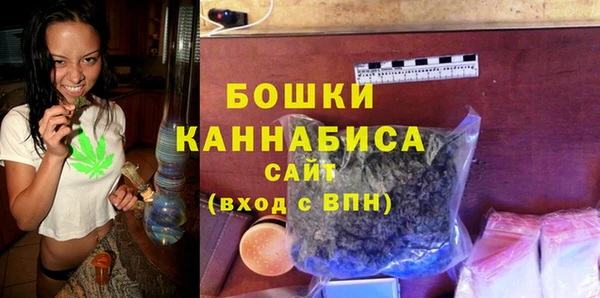 spice Богданович
