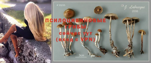 меф Белокуриха
