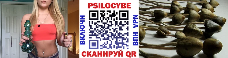 это наркотические препараты  Медвежьегорск  Псилоцибиновые грибы Cubensis 